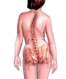 Patologie muskuloskeletálního systému